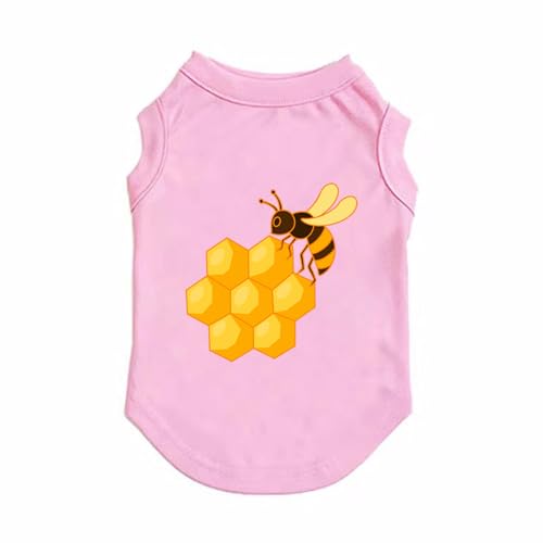 [XZVGJ] ybg ^ Lk sN ybgEFA hbOEFA lC t@bV  L  ȒPE LOBe [΍ ё΍ ȒPE  킢 ^ XL hbOEFA 