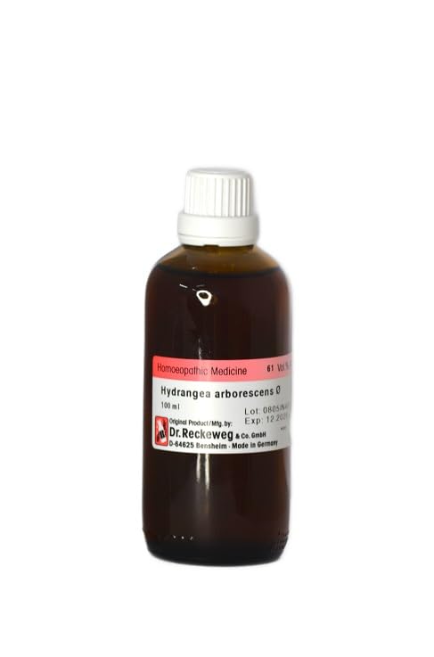 Sponsored Ad - HYDRANGEA A Q 100 ML Reckeweg Germany