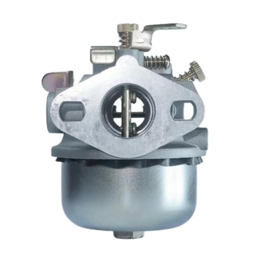 Carburateur Kohler 8HP K161 résout les problèmes de démarrage de tondeuse