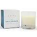 Trapp Ambiance Collection No. 13 Bob's Flower Shoppe Poured Scented Candle, 8.75-Ounces