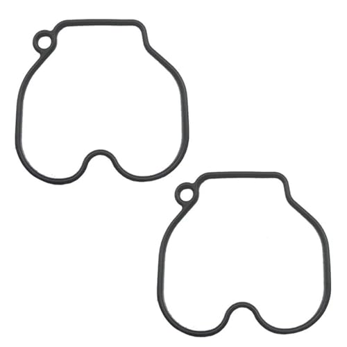 Kit reparación carburador SCV 100 Lead con flotador y diafragma para moto