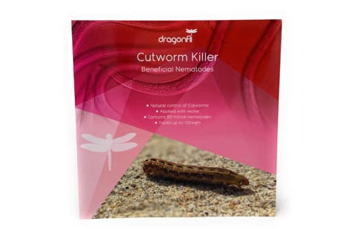 Dragonfli Cutworm Killer Nematodes - Naturally Kill Cutworm Pests (100sqm)