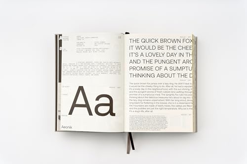 Sans In Use Creative Typefaces livre design graphique graphiste édition anglais - 5