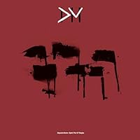 Spirit | The 12" Singles