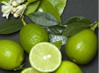 Green view "Kolkata Original (Dwarf Varieties) All Time Pati Labu/Lemon Plant For Home Gardening,Plant (Grafted, Pack Of 1) (B0CH6W1JH7) Amazon Price History, Amazon Price Tracker
