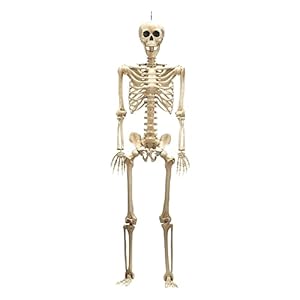 Wanna Party 6 FT Large Size Hanging Skeleton for Halloween Party Decorations
