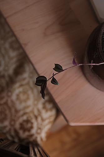 73 | teched out? 3 ways to be less impacted by technology as an empath in online business