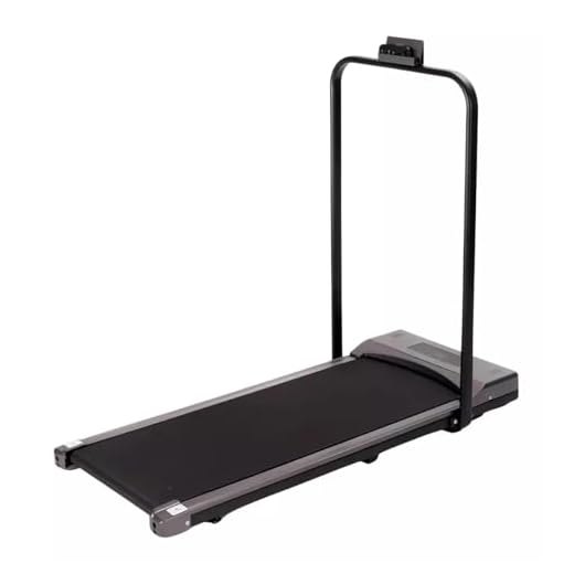 Nakasaki Fitness 120kg 10km/h