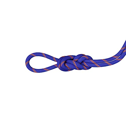 Mammut Alpine Sender Dry Rope 9,0 mm Dry   Ice/Sunrise LG 60
