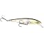 Clearwater Minnow
