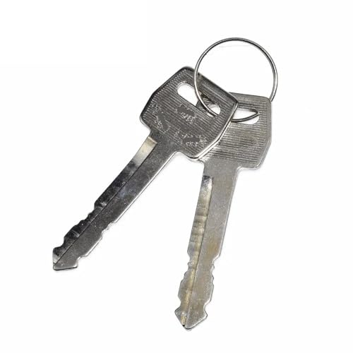 Llaves del cilindro de bloqueo del interruptor de encendido LC1438 para Ford Mustang 4