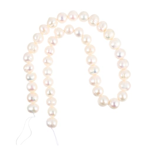 [ibasenice] V[Wp[y_gtt@bVlbNX p ^ y_g  g p[eB[ j LO a Ǝ