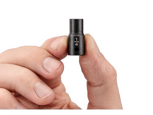 Image of TEKTON 1 /4 Inch Drive x 1 /4 Inch Shallow 12-Point Impact Socket | SID02206