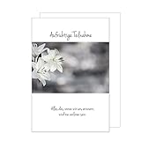 Edition Seidel Premium Trauerkarte mit Umschlag. Trauer eine einzelne Beileidskarte Karte mit Spruch Lilienblüte aufrichtige Teilnahme Abschied aufrichtige Anteilnahme Mitgefühl Beileid (T1044 SW022)