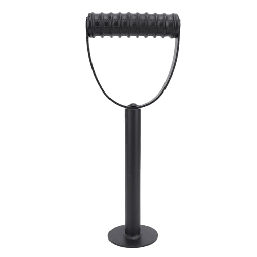 Alomejor Peso di Peso Russo con capacità di Stoccaggio di 100 kg, Ideale per L'allenamento della Forza (25 mm)