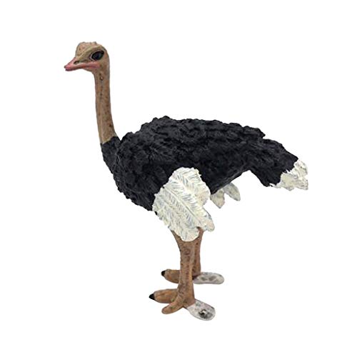 Baosity uftBMAɃLbYRCI, _`E