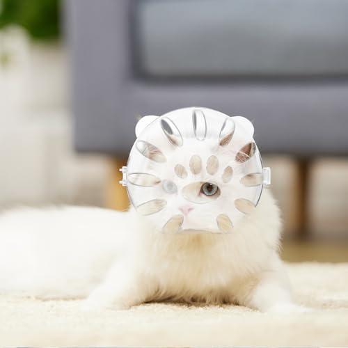 Mipcase Katzenhelm Nach Operation Mit Klauenschutz Transparent Atmungsaktive Kätzchenhaube Für Schutz Und Heilung Katzenkopfhaube