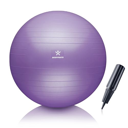 BODYMATE Gymnastikball Sitzball Trainingsball mit GRATIS E-Book inkl. Luft-Pumpe Ball für Fitness Yoga Gymnastik Core Training für starken Rücken als Büro-Stuhl French Lavender 55cm