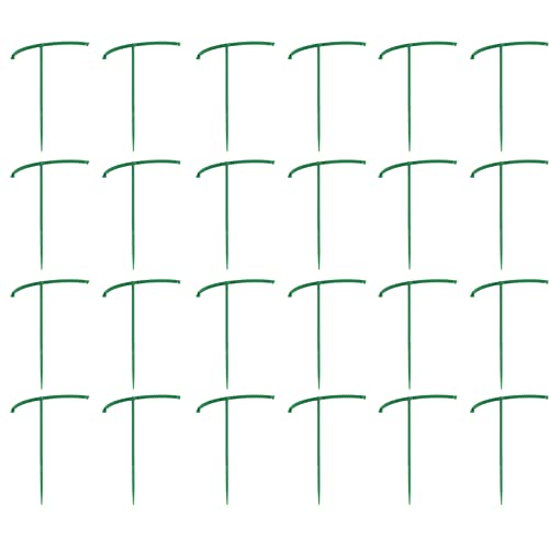 Kisata Ax |pi 24Zbg PPf O[ U^