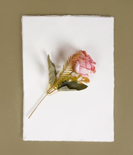 Image of Handmade Cotton Deckle Edge Paper, A4 Size, Set of 20, White (A4)
