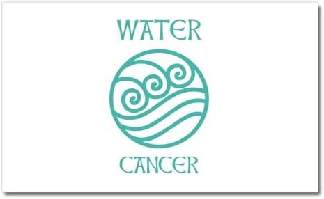 CafePress Water Sign Symbol Astrology Pisces Car Magnet 20 X Car Magnet, 20