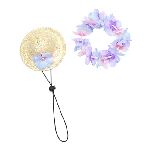 m[uhi nCAybgXq K[hZbg LpT}[ybgLbv Ẵr[`v[p[eB[ppANZT[ 1S