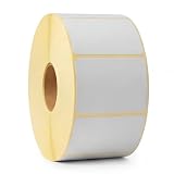 Etichette Termiche 58x43 mm - 1040 pz per Rotolo - Etichette Adesive per Bilance Gastronomia, Salumeria, Ortofrutta - Stampa Diretta senza Inchiostro