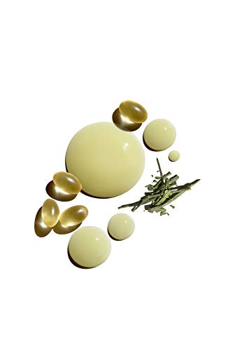 Jack Black Protein Booster Skin Serum, 2 Fl Oz #TOP6