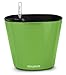 Aquaphoric Self Watering Planter (7”) + Fiber Soil = Foolproof Indoor Garden. Decorative Planter Pot for House Plants, Flowers, Herbs, Violets, Succulents. Easy Looks Great.
