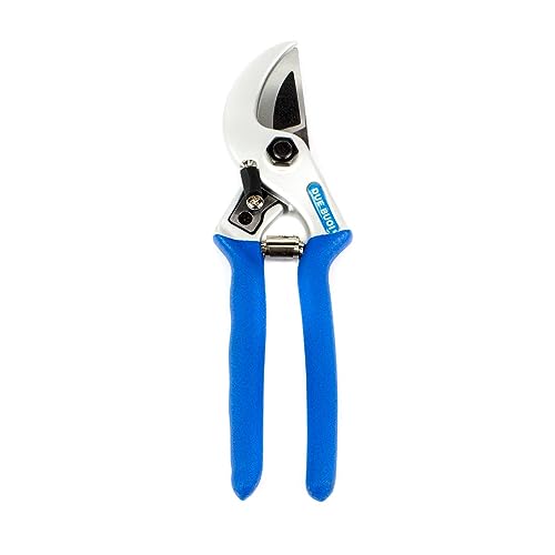 Due Buoi Forbici potatura a battente lama curva 21 cm