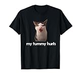 Mon ventre fait mal, mème drôle de chat T-Shirt