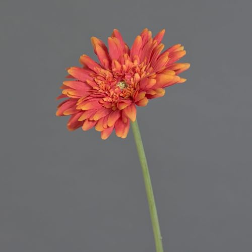 artplants.de Gerbera Artificiel Aitana, Orange, 55cm - Faux Gerbera - Fleur Artificielle