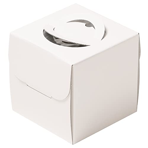 nR}VF WfR P[L P[L{bNX zCg 4 H150 10