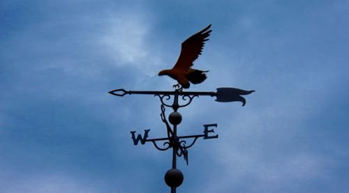 A Forecast for the Future Podcast Por  arte de portada