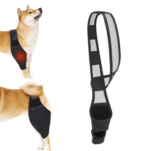 EIHI Kniebandage Hund Hinterbein für das Linke Bein - Hergestellt aus Neopren,für Kreuzbandriss,Bänderverletzungen,Patellaluxation oder Osteoarthritis - Größe L