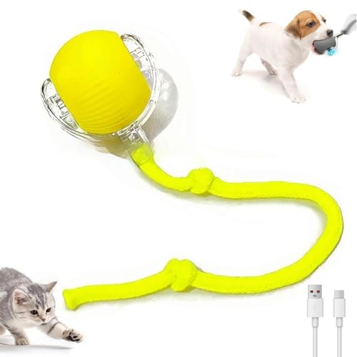 C^NeBu X}[gLbg{[A {[  Ad  `[C[OLp AUSB [dt 360 x]Aybg{[ ^s XgX (CG[)