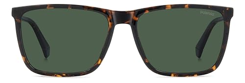 Polaroid PLD 4180/S HAVANA/ GREEN POLARIZED 58/17/145 men Sunglasses3