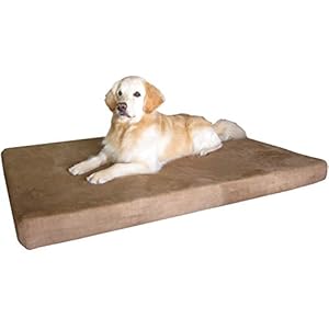 Dogbed4less XXL Waterproof Orthopedic Premium Memory Foam Dog Bed for Large Dogs, Washable Suede Cover and Extra Replacement Case, 55X37X4 Inch, Brown