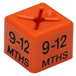 100 x Garment Clothes Marker Size Numbers: Color Size Cubes for Hanger Displays - Organize Wardrobe, Boutique - Various Sizes, Colors Available (9-12 MTHS)