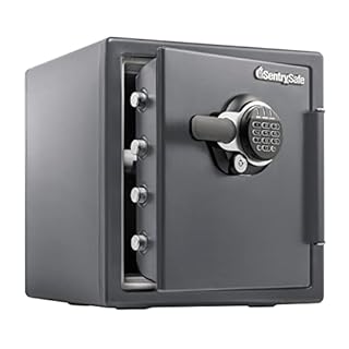 SentrySafe Fireproof and Waterproof Steel Home Safe with Digital Keypad Lock, 2 Hour Fireproof Rated Safe for Home, 1.23 Cubic Feet, 17.8 x 16.3 x 19.3 inches, STW123GTC, Black (B0BBNFTDZX)