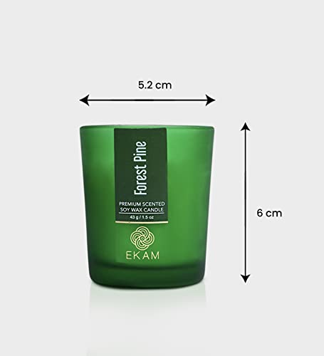 Image of EKAM Forest Pine Votive Soy Wax Scented Candle, 40 Grams, 10 Hours Burn Time| Long Lasting Premium Candles | Ideal for Home Decor | Gifting & Aromatherapy (Pack of 12)