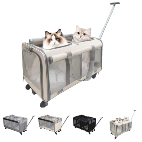 LightRiseybgL[obN 2CLpE^^Le 2̕ O\Ȏd؂胊[htω׏d16kgLkg[ LX^[t ybgL[J[g 􂦂 ܂肽ݎʔLpsobOAjo[TzC[AʋCA|[^