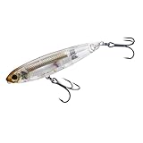 DUEL(デュエル) YO-ZURI(ヨーヅリ)ルアー 3D インショア トップノック ペンシル 100mm リアルグラスミノー R1350-RGLM