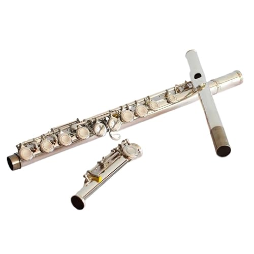 ���S�� �t���[�g �t���[�g �j�b�P�����b�L�N���[�Y�h 16 �� �t���[�g���q C �{�f�B�ގ� ����