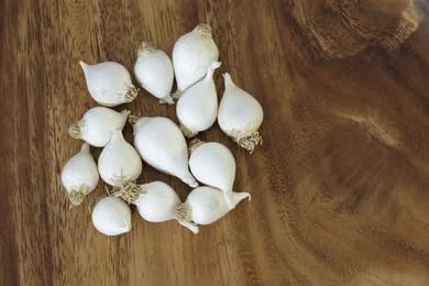 Parshutara (Sanjaytopcat) Single Clove Garlic 200 gm ek 1 pothi lahsun Dry Organic Single Clove Garlic Ek Pothi Lahsun Garlic Grade-A Qualilty (Not Hybrid) (B0D8JRQQ8J) Amazon Price History, Amazon Price Tracker