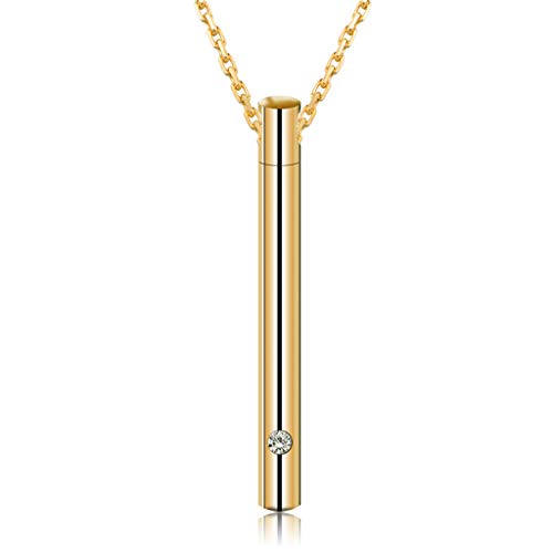 Stainless Steel Memorial Keepsake Pendant Chain Necklace for Ashes Holder