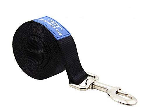 BIG SMILE PAW Dog Leash Nylon Durable Loop Handle,5 Foot Long 1 Inch Wide (Black)