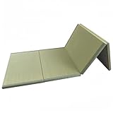LIMENQIN Cojines Suelo For Dormir Dormir Colchonetas For Adultos Suelo Colchon Suelo Portatil Tatami Japones Plegable Colchon Apresura Almohadillas Enfriador Simple Ventanas Habitacion(35 * 79in)