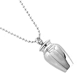 FUTUREORYY Collar Colgante de Urna Conmemorativa para Cenizas de Mascotas en Acero Inoxidable Plata, Obsequio de Confort para Familia y Seres Queridos
