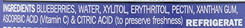 Nature's Hollow, Sugar-Free Blueberry Jam Preserves, On Gmo, Keto Friendly, Vegan And Gluten Free - 10 Ounce #TOP3